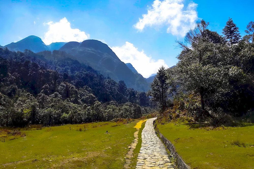 Trekking to the Love Waterfall Sapa is an ideal choice for visitors who want to enjoy the natural scenery throughout the trip